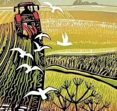 a tractor is driving through the fields with birds flying over it and trees in the background