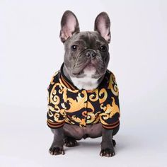 Model Number: outfitMaterial: cottonType: DogsSeason: Autumn/Winter Bulldog Francese, Designer Dog Clothes, Puppy Clothes, Dog Jacket, Luxury Dog, Baroque Style, Medium Dogs, Cat Clothes, Dog Coats