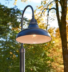 an outdoor lamp with trees in the background