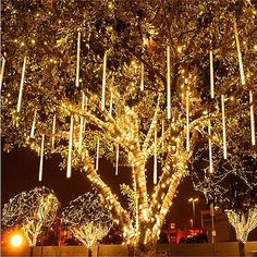 a large tree with lights hanging from it's branches