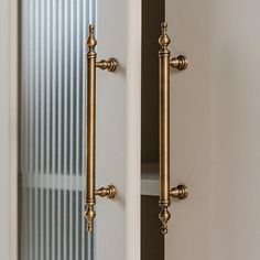 an open door with brass handles and knobs