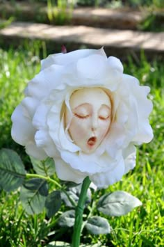 a white flower with a woman's face in the center surrounded by green grass