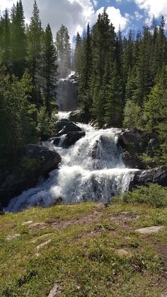 a small waterfall in the middle of a forest