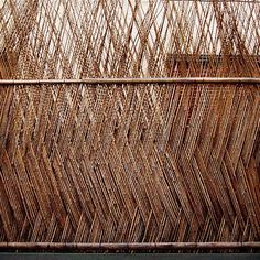 a cat is sitting on top of a bamboo structure with its head up against the fence