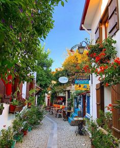 an alley way with tables and chairs in the middle, surrounded by greenery on both sides