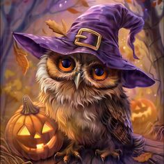 an owl wearing a witches hat sitting next to a pumpkin