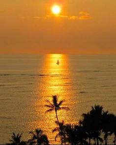 the sun is setting over the ocean with palm trees in front of it and a sailboat on the water