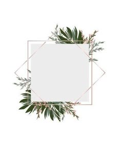 a white square frame with green leaves and gold geometric lines on the bottom, in front of a white background