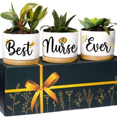 three potted plants sitting on top of a box with the words best nurse ever