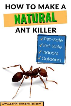 an ant with the words how to make a natural ant killer on it's back