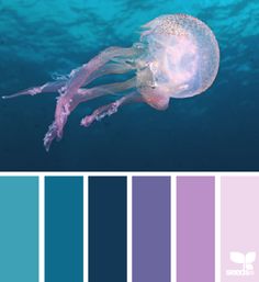 a jellyfish in the water with blue and purple hues on it's sides