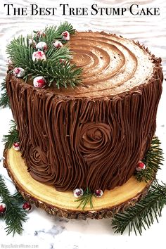 the best tree stump cake is made with chocolate frosting and decorated with pine branches