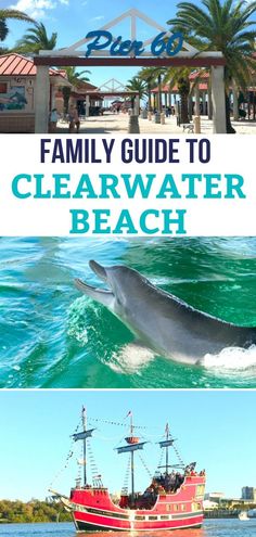 the family guide to clearwater beach, florida with pictures of dolphin and boat in water