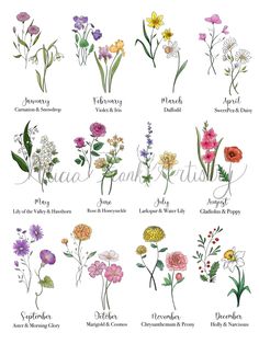 an illustrated guide to wildflowers and their names on a white background with the words,