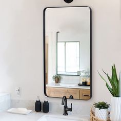 a bathroom sink with a mirror above it and a potted plant on the counter