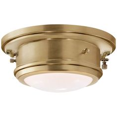 an image of a flush light fixture