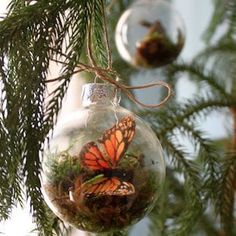 a glass ornament hanging from a tree filled with green moss and orange butterflies