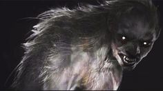 an evil looking creature in the dark with glowing eyes and fur on it's head