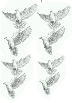 four white doves flying in the air with their wings spread out, and one bird is