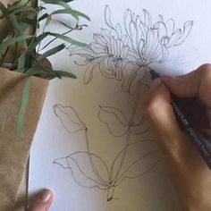 someone is drawing flowers on paper with a pencil