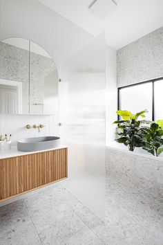 a bathroom with a plant in the corner and a mirror on the wall above it