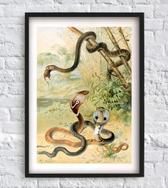 an illustration of two snakes in the jungle, one with its head on another snake