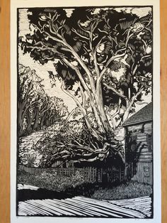 a black and white drawing of a tree in the middle of a yard next to a house