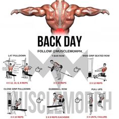 an image of back day exercises to gain muscle strength for the entire body and shoulders