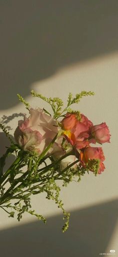 a bouquet of flowers sitting on top of a white wall next to a shadowless wall