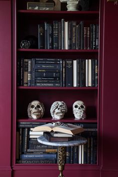 the bookshelf is filled with many different types of skulls on top of them