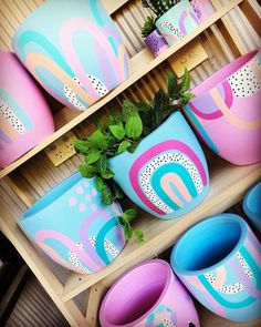 colorful pots with plants in them on display