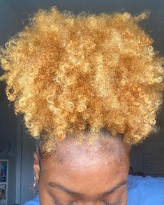 High Puff, Blonde Natural Hair, Disney High, Honey Blonde Hair, Curly Hair Styles Easy