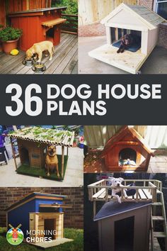 dog house plans that are easy to build and great for any type of outdoor space