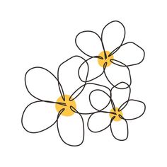 three yellow flowers with black lines in the middle