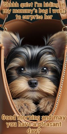 a small dog is peeking out of a purse