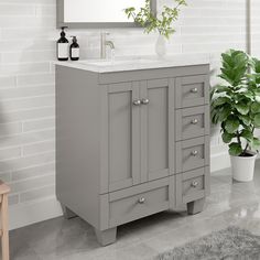 a bathroom vanity with a mirror above it next to a potted plant