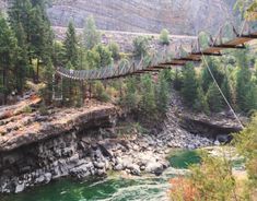 a suspension bridge over a river surrounded by trees