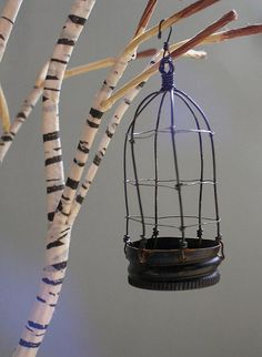 a bird cage hanging from the side of a tree with birch trees in the background