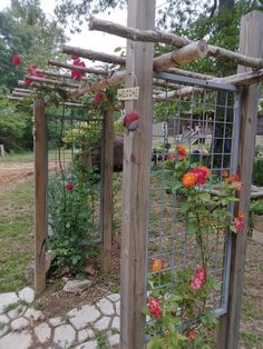 an outdoor garden with roses growing on the trellis and climbing up to it's posts