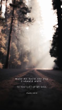 a road in the middle of a forest with trees and sunbeams behind it