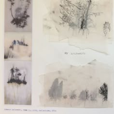 four different types of trees are shown in this collage, with the words my esenties written on them