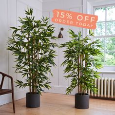 two potted plants are on the floor next to a sign that says 15 % off order today