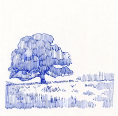 a drawing of a tree in the middle of a field