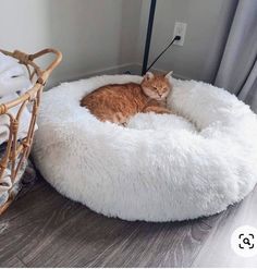 an orange cat is curled up in a fluffy bed on the floor next to a wicker basket