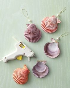 Art Coquillage, Seashell Projects, Shells Diy, Statement Decor, Shell Crafts Diy, Shell Ornaments