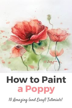 watercolor flowers with the title how to paint a poppy