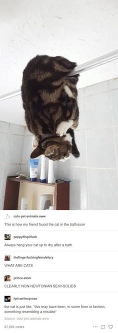 a cat sitting on top of a table in the middle of a room with white walls