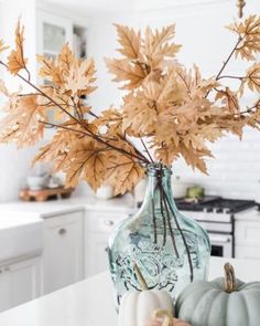 a vase filled with lots of leaves on top of a white kitchen counter next to a pumpkin