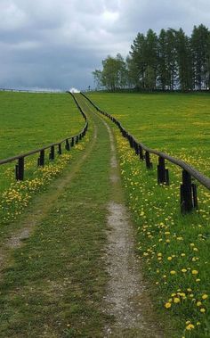 a dirt road in the middle of a green field