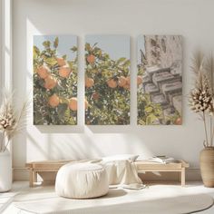 three oranges hanging on a tree in an empty room